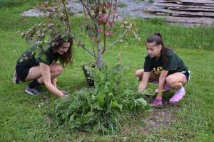 DAILY ANNOUNCEMENTS 9-25-2017