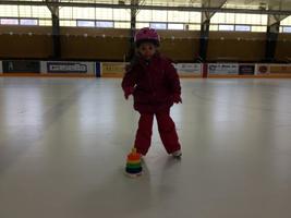 Change to Public Skate Schedule this Week
