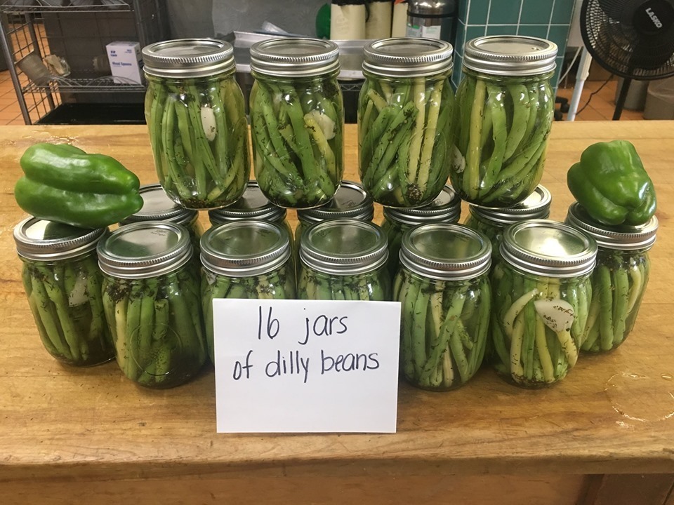 SATEC Garden is Producing Nicely