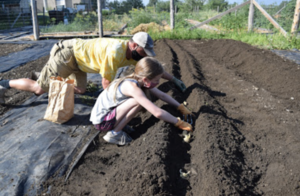 Announcements - Overview of summer programming in July