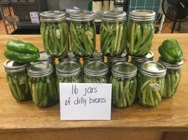 SATEC Garden is Producing Nicely