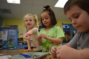 DAILY ANNOUNCEMENTS 4-2-2019