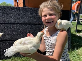 DAILY ANNOUNCEMENTS 6-19-2019