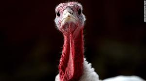 Thanksgiving trivia quick facts